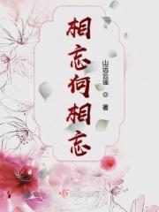 苟富贵毋相忘还是无相忘