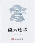 盗天逆杀 静听月冷