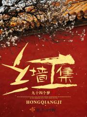 红墙集团王宏宇的背景故事