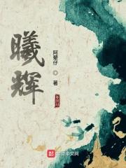 曦辉电子有限公司