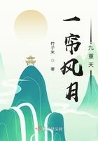 一帘风月九重天TXT免费