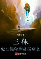 三体中面壁者是谁