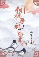侧福晋被一路带飞 ggd