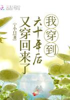 我穿到六十年后又穿回来宁小白