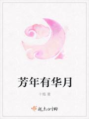 芳华年月什么生肖