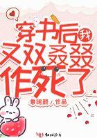 穿书后我又穿