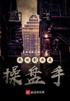 我的副业是操盘手在线阅读