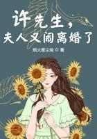 许先生夫人又闹离婚了