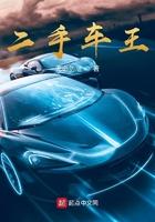 二手车王萌