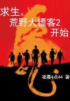 主角进入荒野大镖客的
