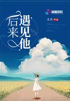 后来遇见他陪我春夏秋冬愈合我的伤疤