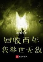 回收百年我举世无敌TXT