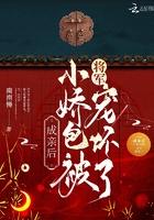 成亲后皇上他成了撒娇精