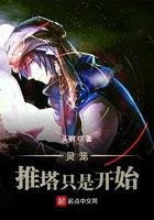 灵笼推塔只是开始TXT