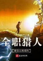 全职猎人猎人是什么
