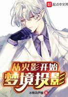 从火影开始梦境投影作者冰糖葫芦糖