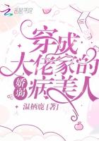 穿成大佬家的娇弱病美人金玉