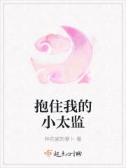 抱住我的小太监讲了什么