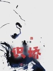 识娇高手是谁扮演的