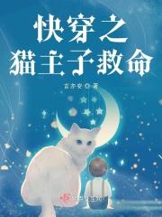 快穿 猫毛儒