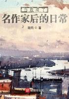 成为作家全集