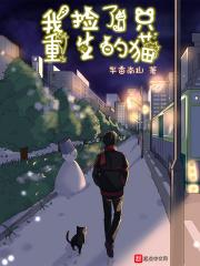我捡了只重生的猫晋江