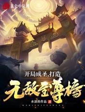 开局就成圣