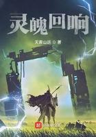 灵魂回响装备大全