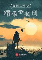 海贼入侵现实