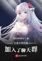 分身万界的我加入了聊天群txt