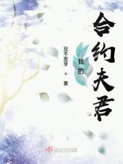 我的合约夫君免费阅读