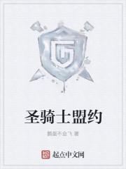 圣骑士誓约