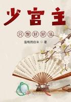 少宫主又下凡历劫啦
