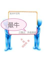 三国升级系统