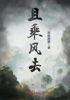 且随疾风 歌词