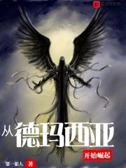 穿越德玛西亚皇子