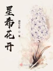 星希成奏的简介