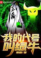 我的代号叫绿牛起点