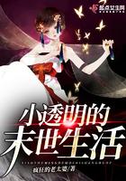 穿书末世小透明被男主缠上全文免费阅读
