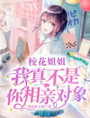 我的姐姐是校花吧