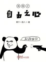 海贼王之守护路飞免费观看