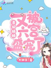 贵妃娘娘又被六宫盛宠了免费