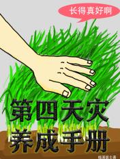 第四天灾角色设定