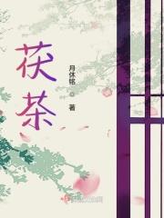 茯茶和黑茶有什么区别