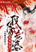 我老婆是异界女神