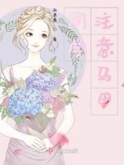 小七软同学马甲