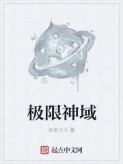 神极限无敌
