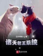 诸天老王系统笔趣阁