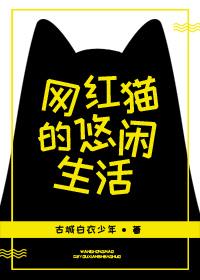 网红猫的忽悠生活燃文