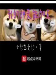 我的神灵分身加料版